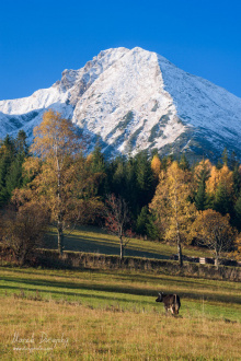 Kravička pod Havranom