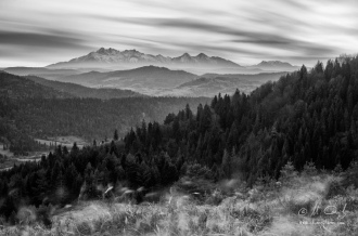 Výhľad na Tatry z Lesníckeho sedla BW