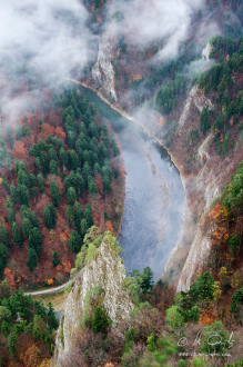 Dunajec zo Sokolice