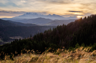 Výhľad na Tatry z Lesníckeho sedla