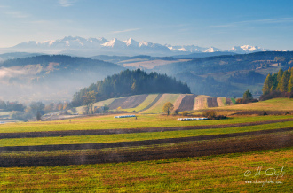 Polia nad Sromowcami Wyznyma