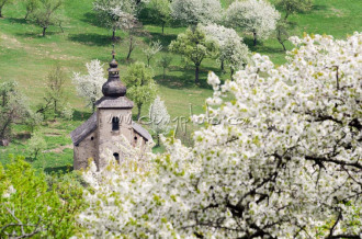 Kostolík a rozkvitnuté čerešne v Brdárke