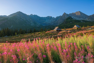 Hala Gasienicowa, PL Tatry