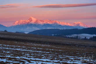 Kriváň